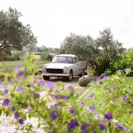 Frühstückspension La Bergerie De L'etang Montels (Herault)
